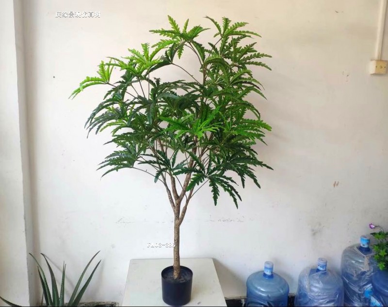 仿真孔雀木植物盆栽四季常青仿真树室内外装饰酒店大厅装饰